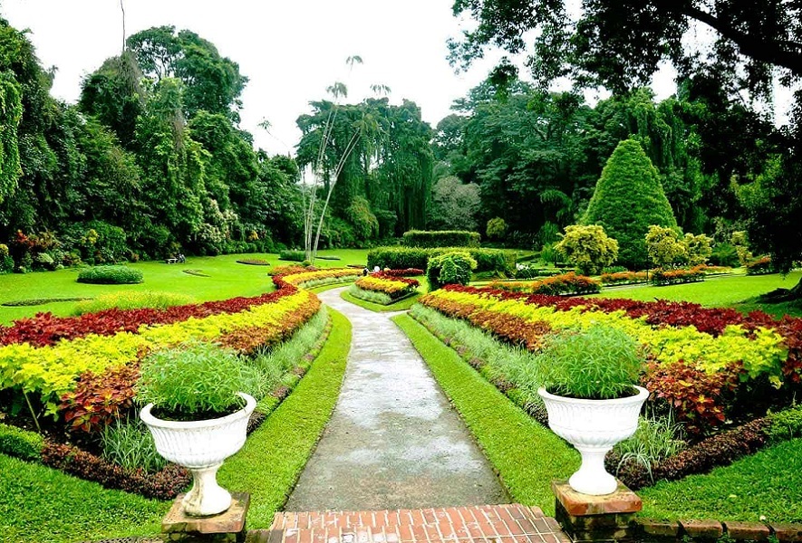 kandy (1)