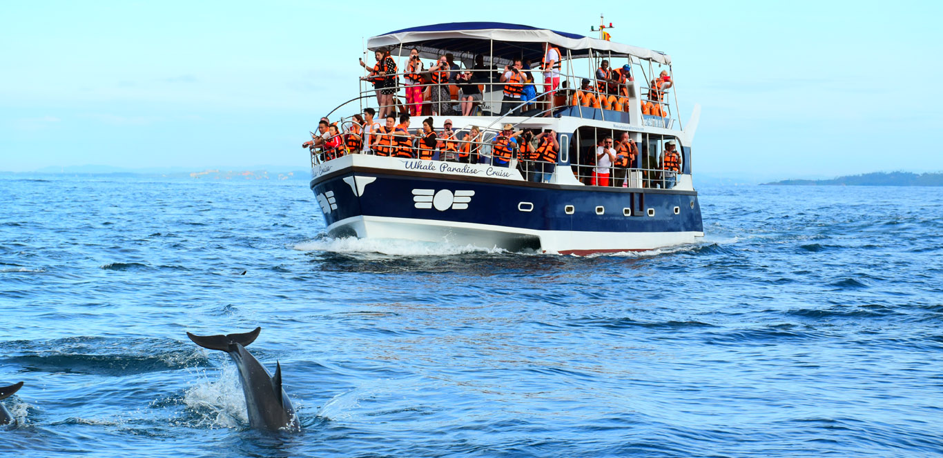 whale watchingh