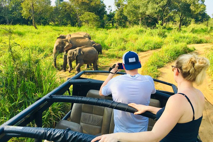 5. wild life safari